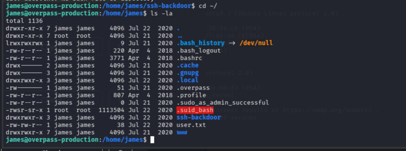 James' home directory listing showing .suid_bash in red with SUID permissions